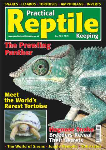 Practical Reptile Keeping issue No.12 Hognose Snakes
