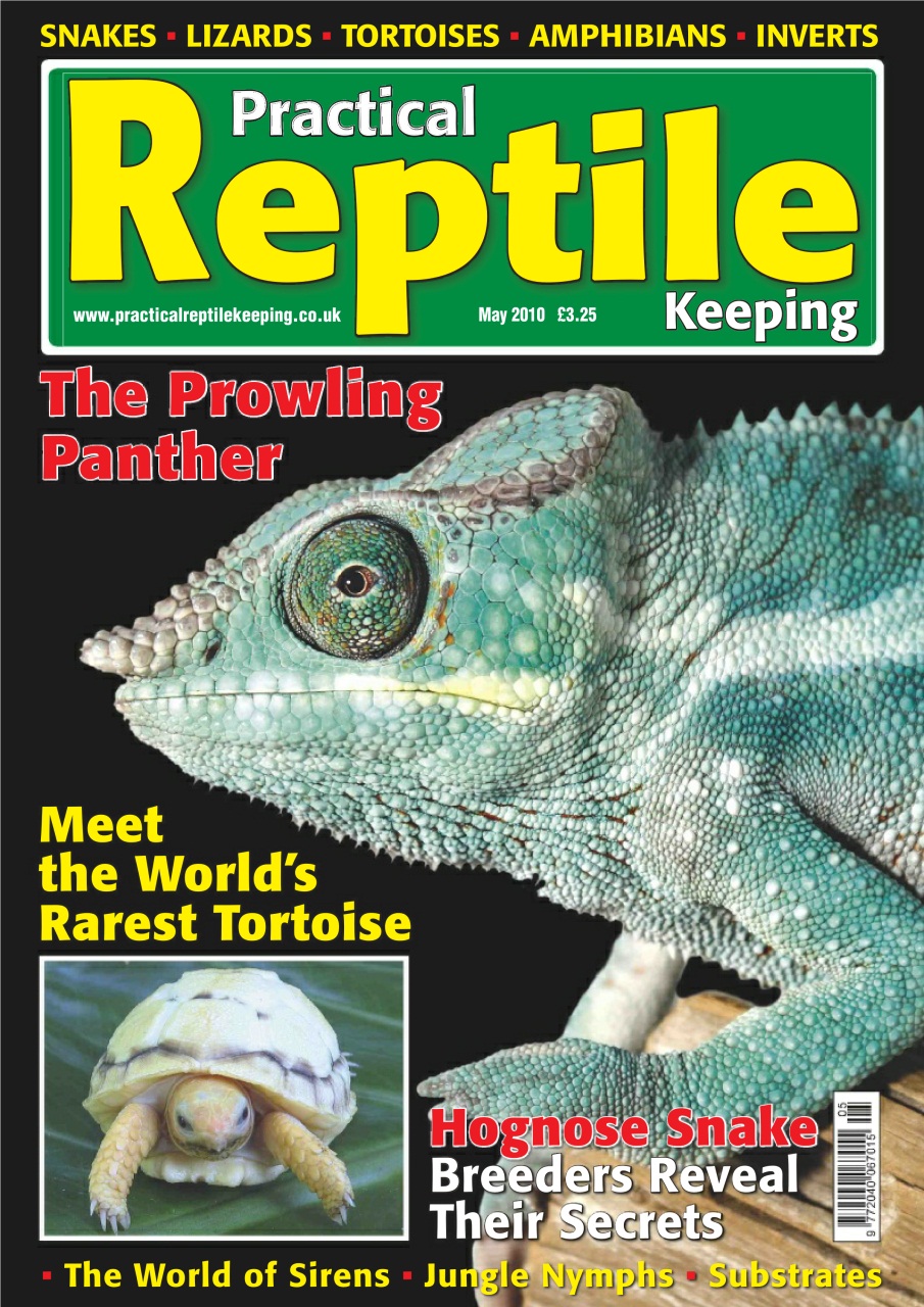 Practical Reptile Keeping Preview Pages