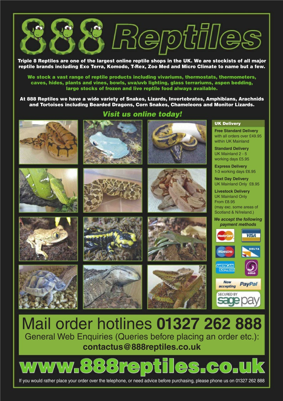 Practical Reptile Keeping Preview Pages