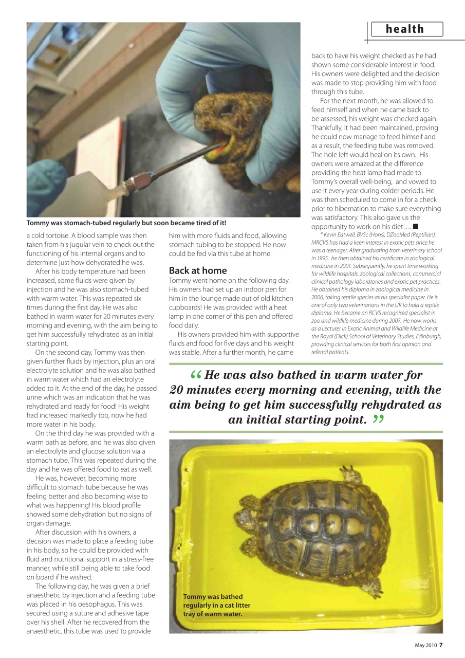 Practical Reptile Keeping Preview Pages