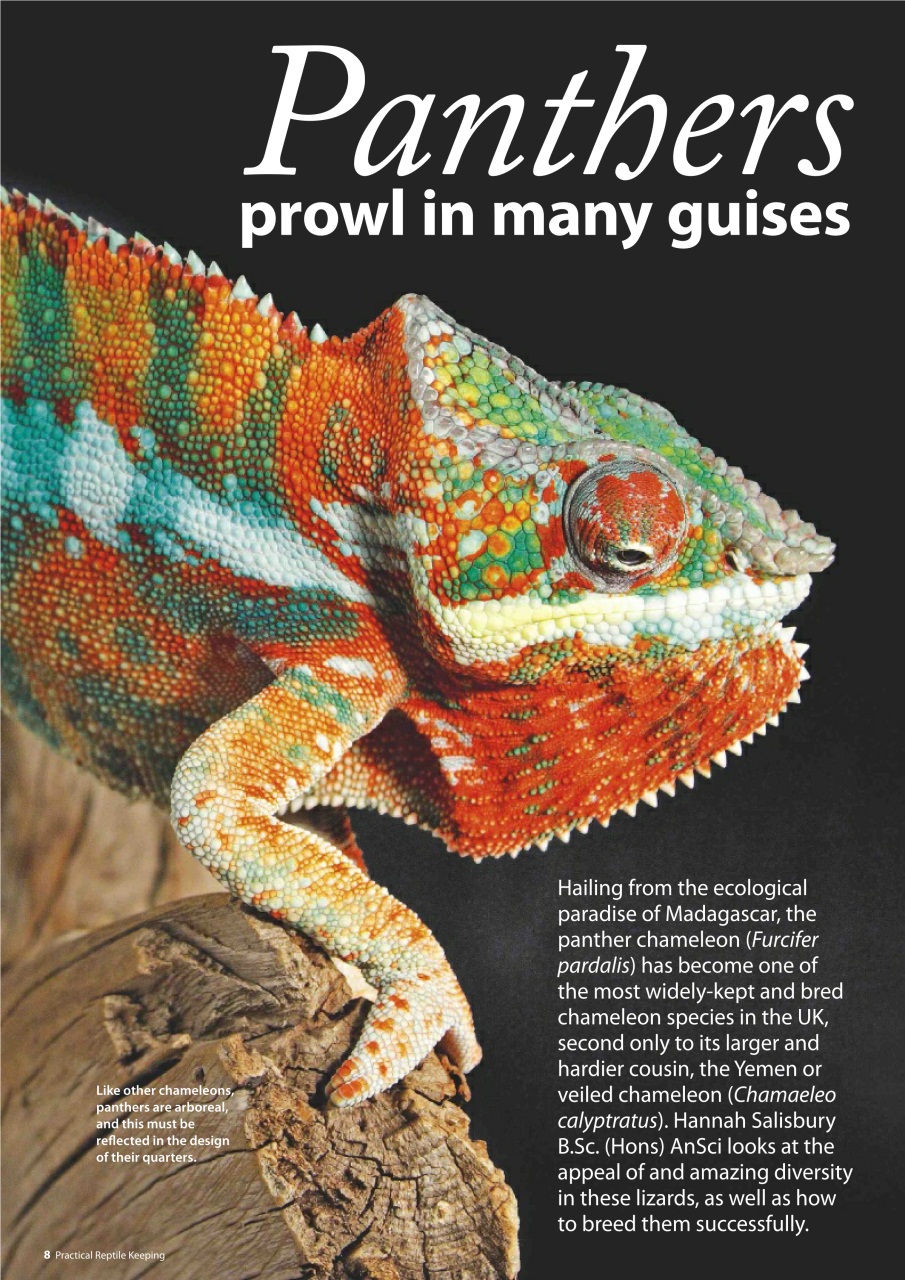 Practical Reptile Keeping Preview Pages