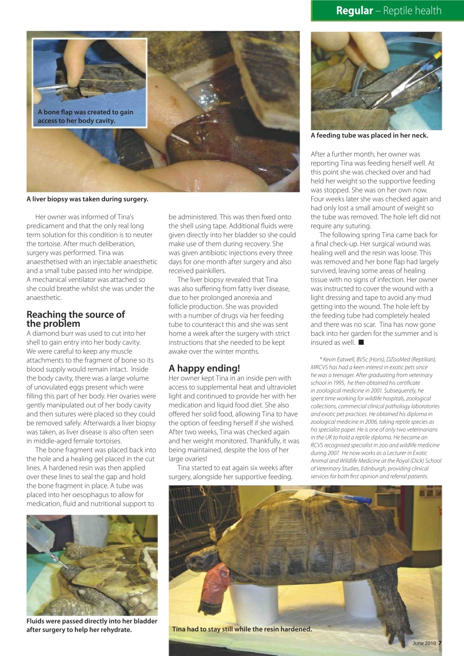 Practical Reptile Keeping Preview Pages