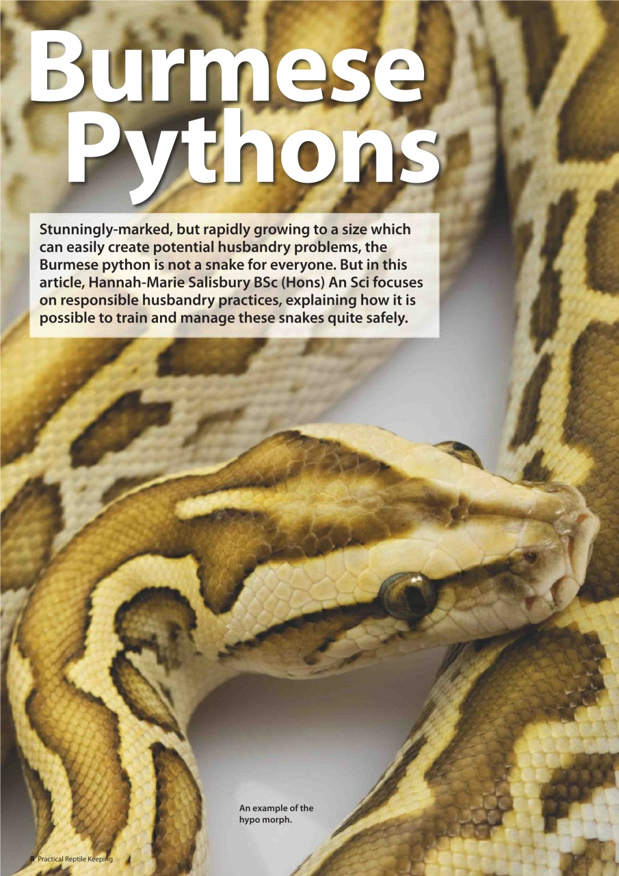 Practical Reptile Keeping Preview Pages