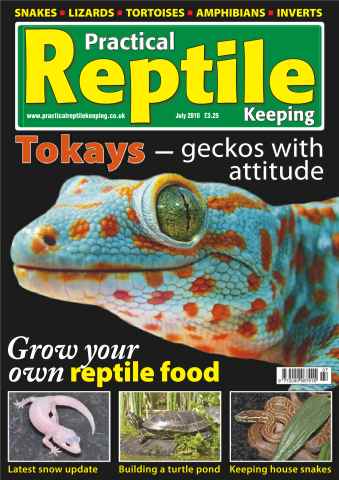 Practical Reptile Keeping issue No.14 Tokays & House Snakes