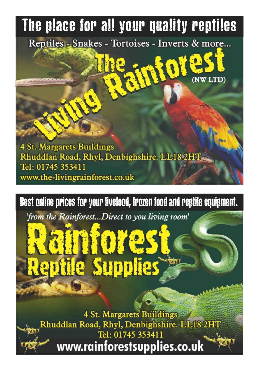 Practical Reptile Keeping Preview Pages