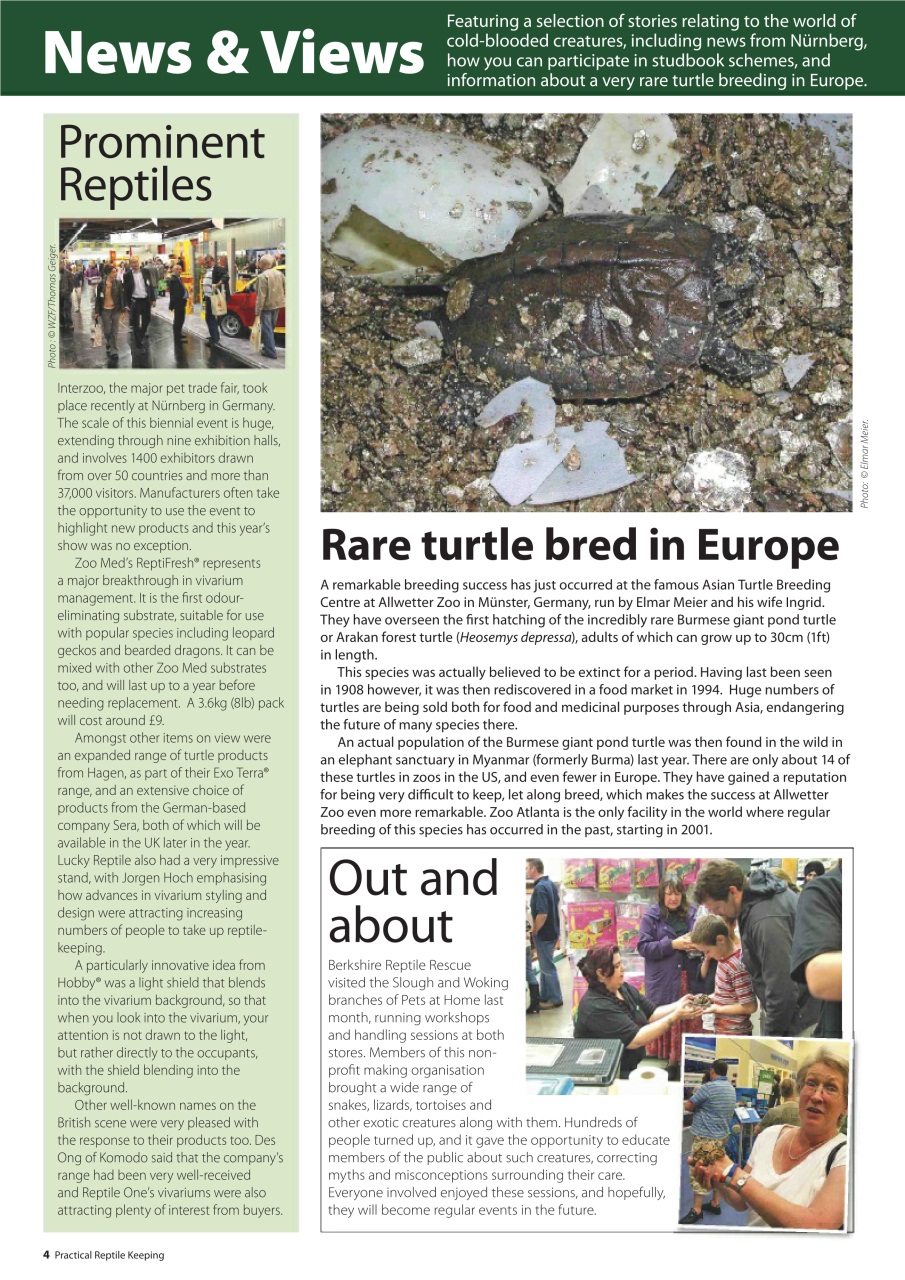 Practical Reptile Keeping Preview Pages