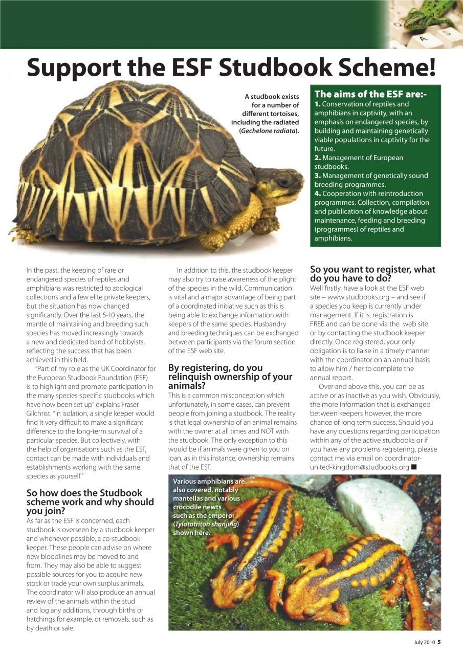 Practical Reptile Keeping Preview Pages