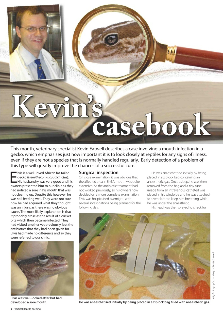 Practical Reptile Keeping Preview Pages