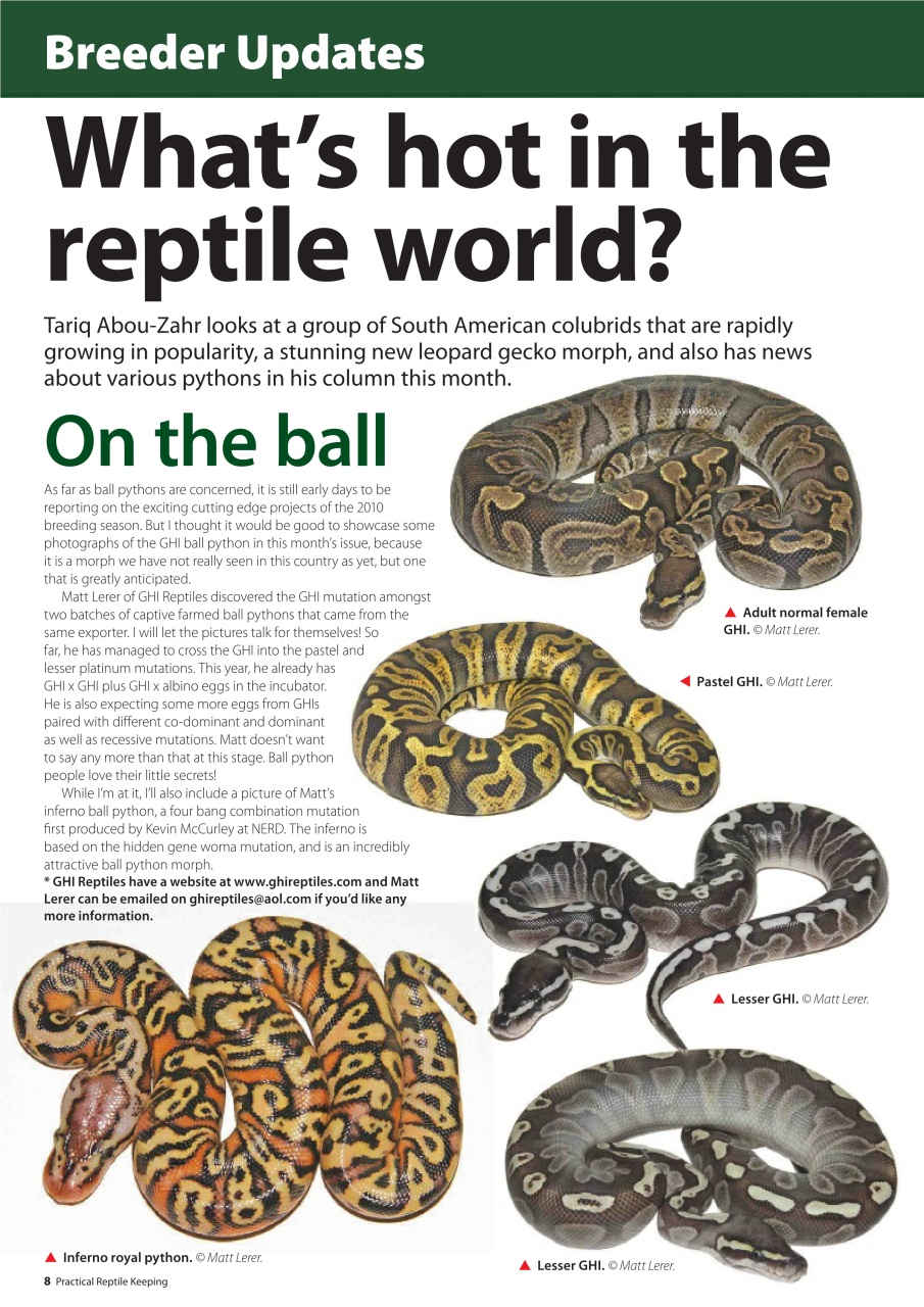 Practical Reptile Keeping Preview Pages