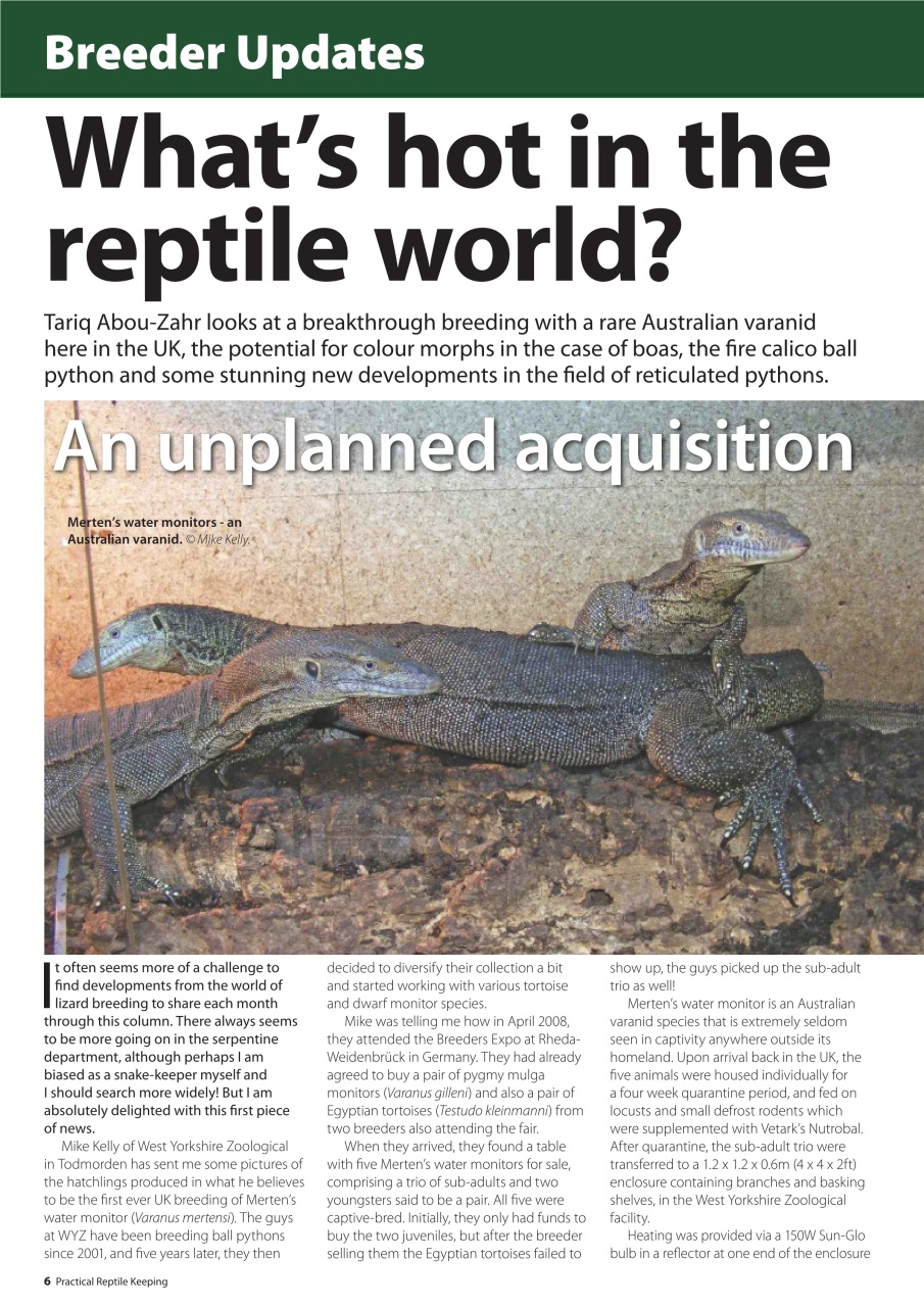 Practical Reptile Keeping Preview Pages
