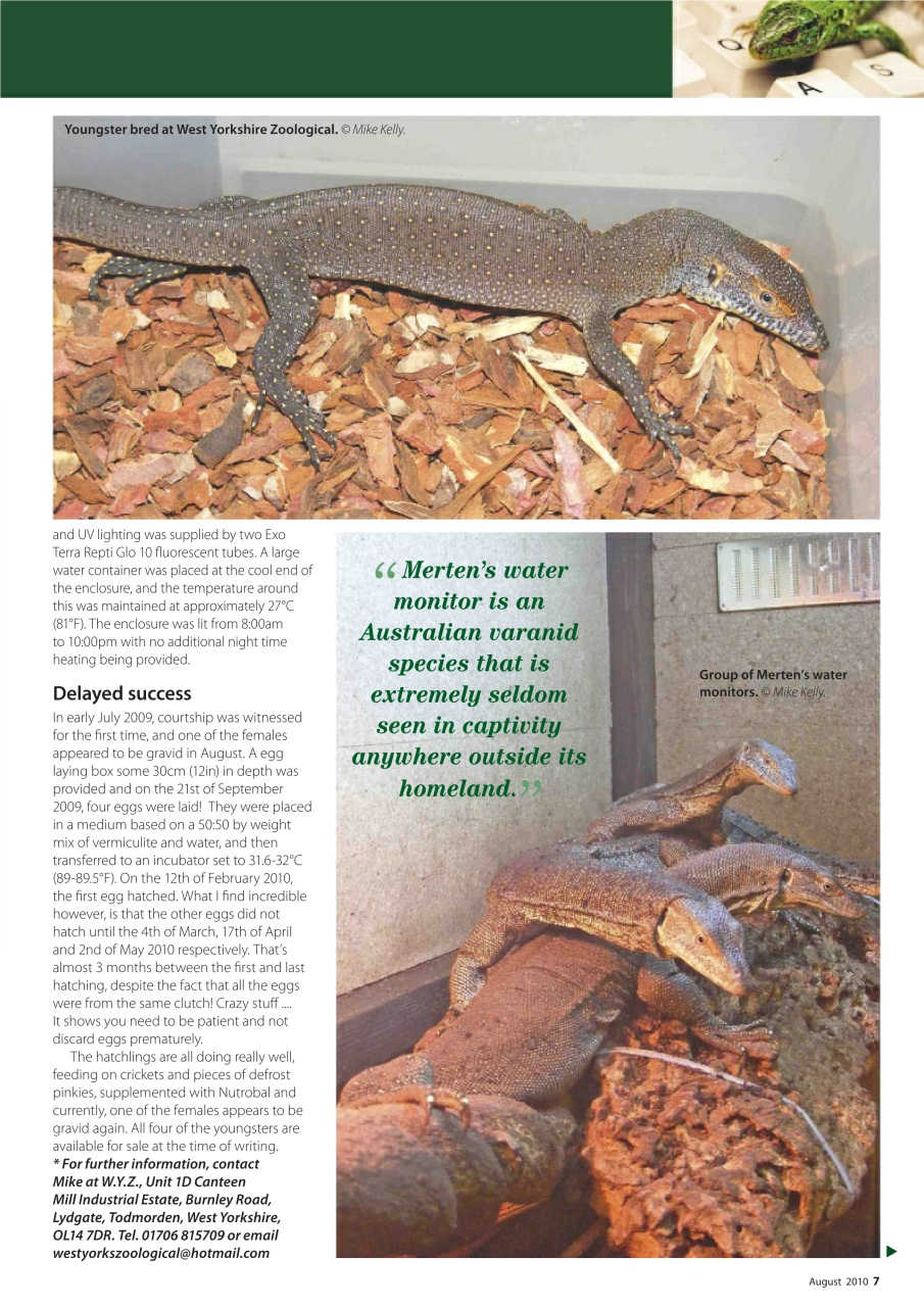 Practical Reptile Keeping Preview Pages