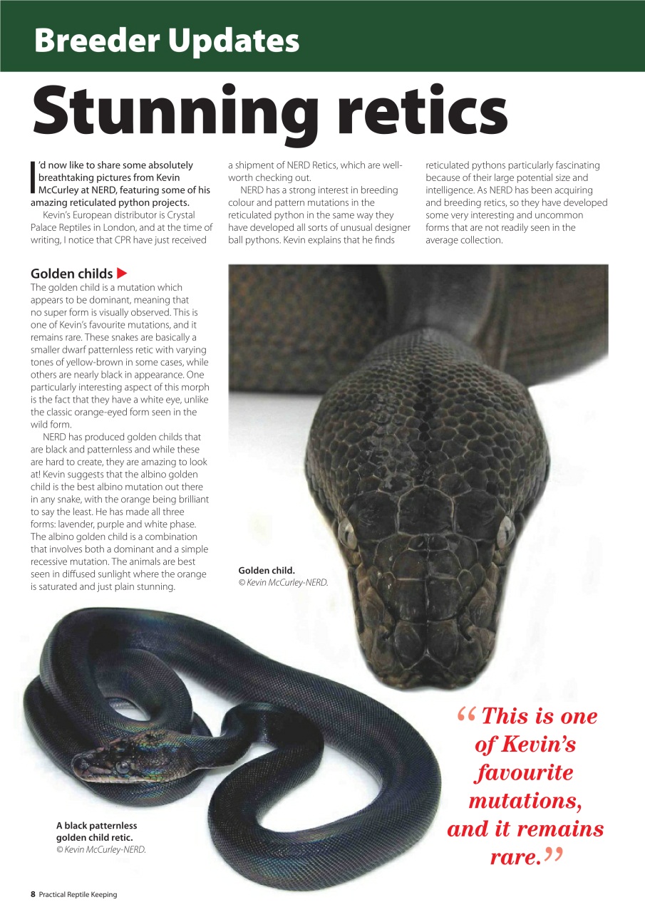 Practical Reptile Keeping Preview Pages