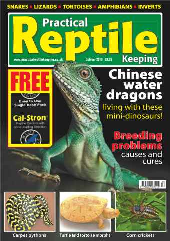 Practical Reptile Keeping issue No.17 Chinese Water Dragons