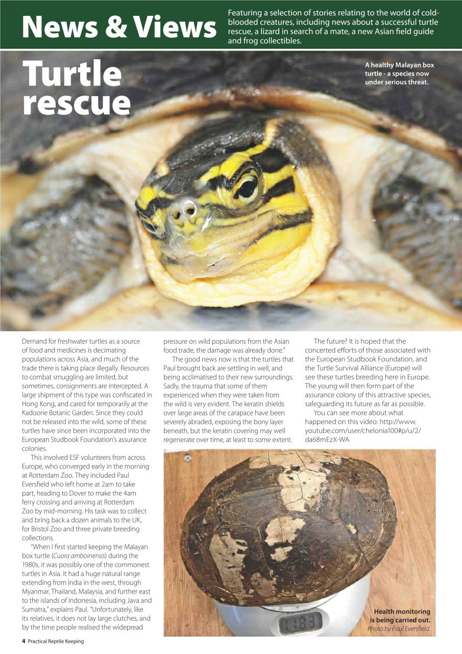 Practical Reptile Keeping Preview Pages