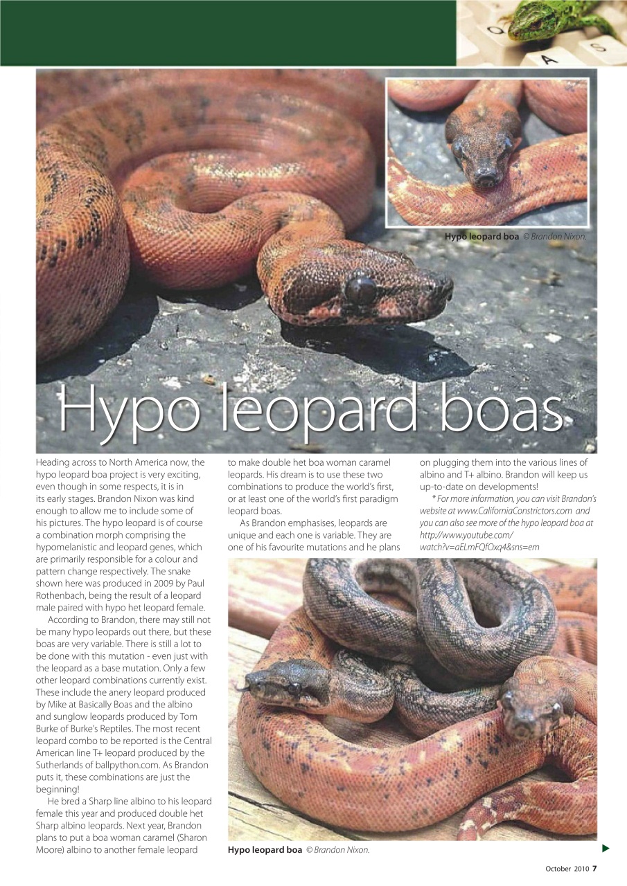 Practical Reptile Keeping Preview Pages