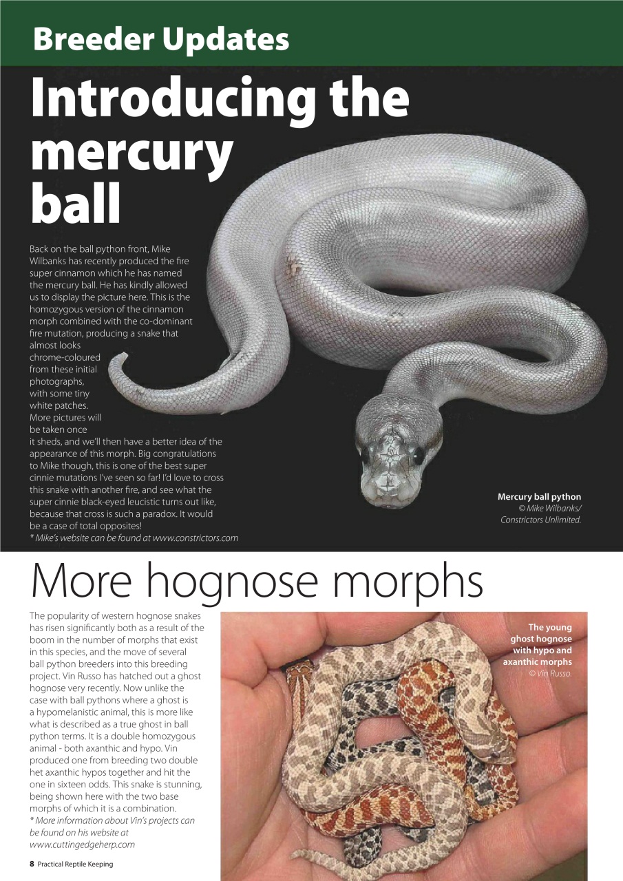 Practical Reptile Keeping Preview Pages