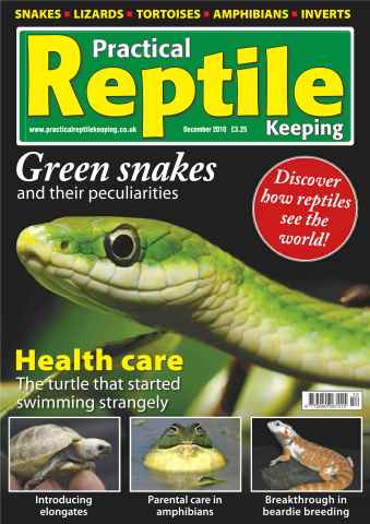 Practical Reptile Keeping issue No.19 Green Snakes & Amphibians