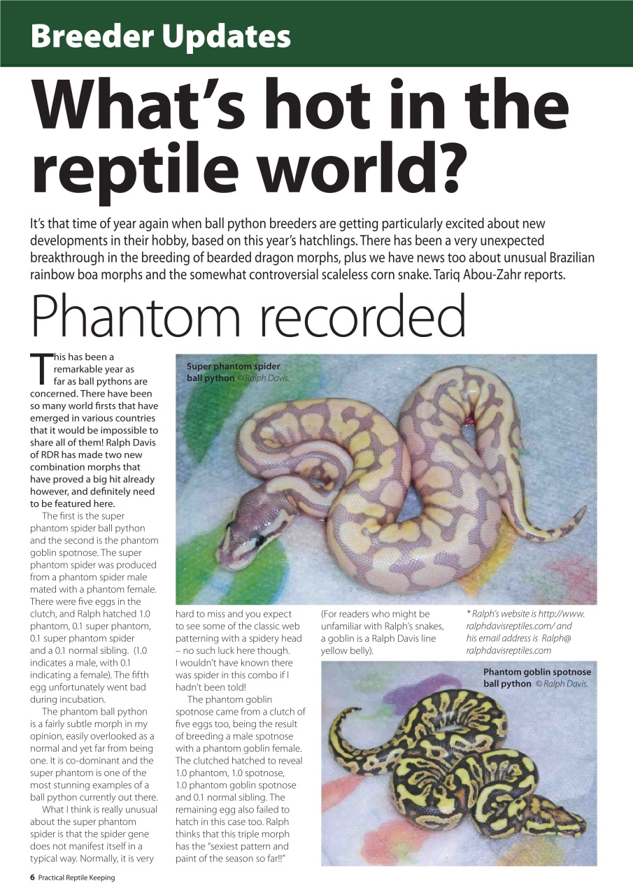 Practical Reptile Keeping Preview Pages