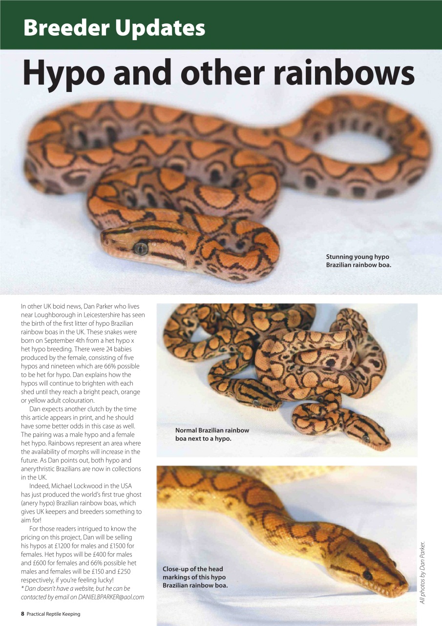 Practical Reptile Keeping Preview Pages