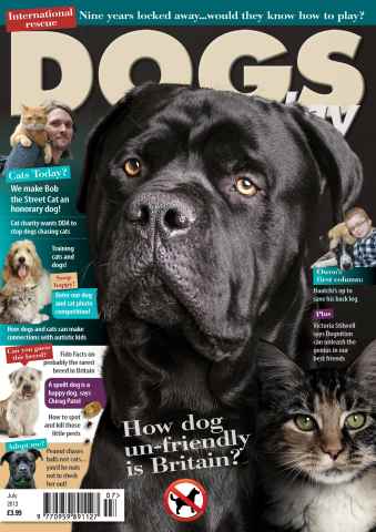 Dogs Today Magazine issue July 2013