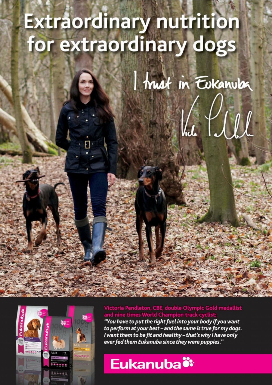 Dogs Today Magazine Preview Pages