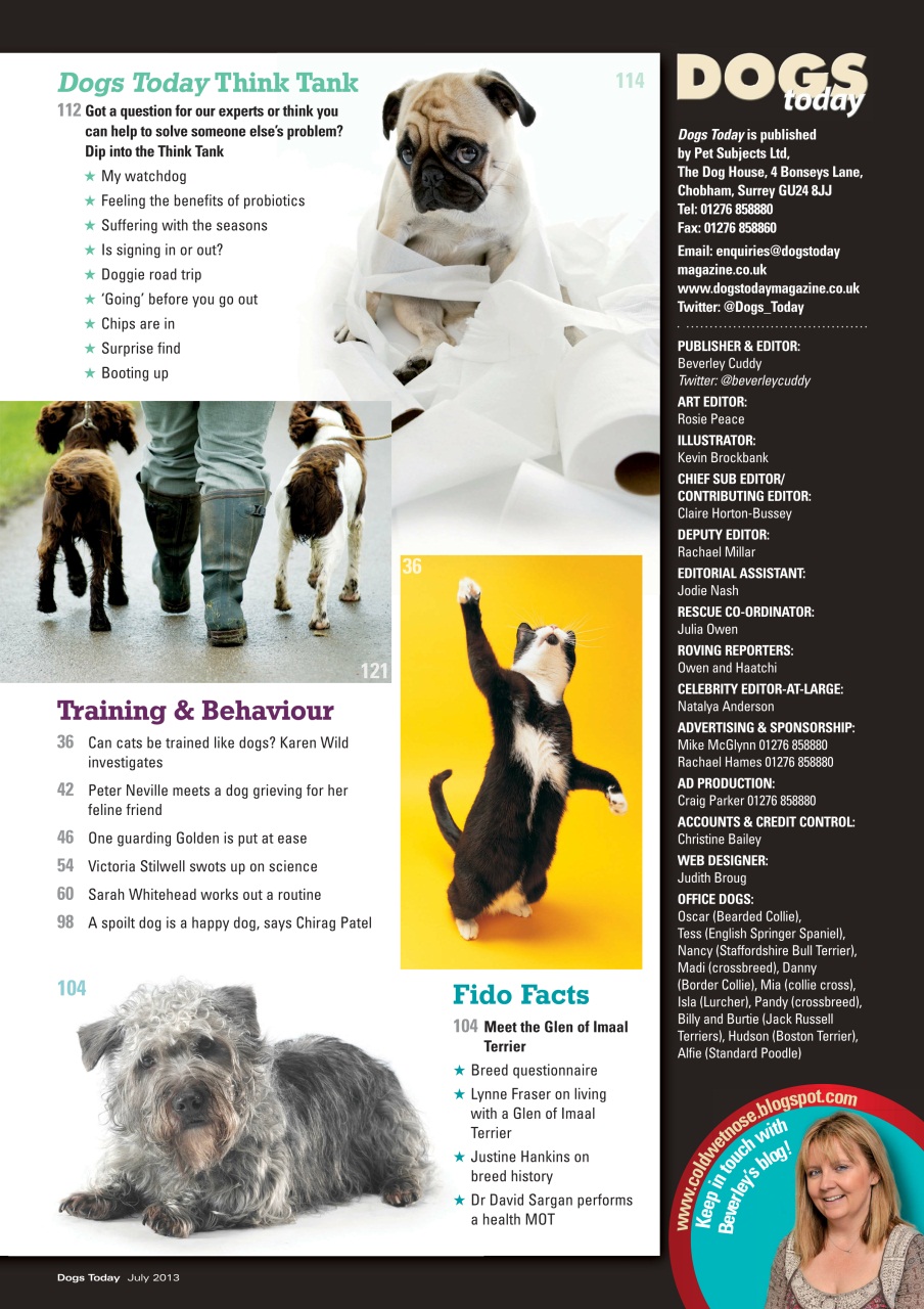 Dogs Today Magazine Preview Pages