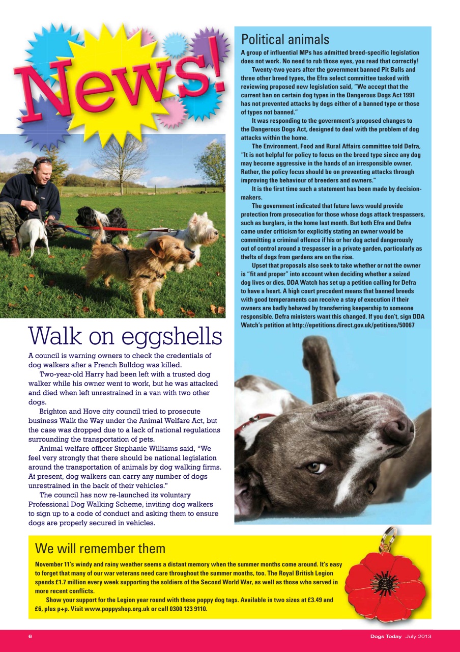 Dogs Today Magazine Preview Pages