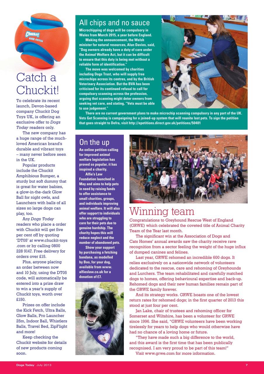 Dogs Today Magazine Preview Pages