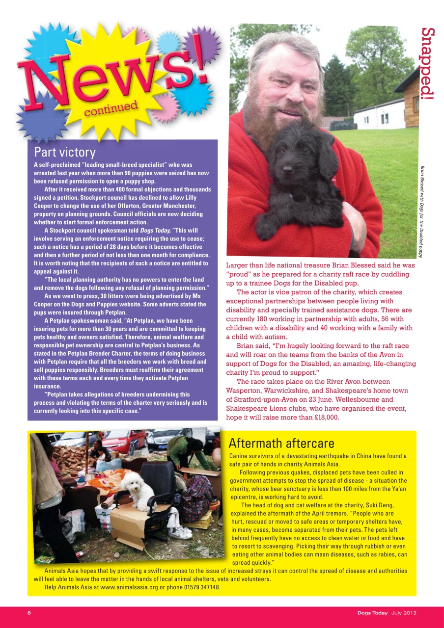 Dogs Today Magazine Preview Pages