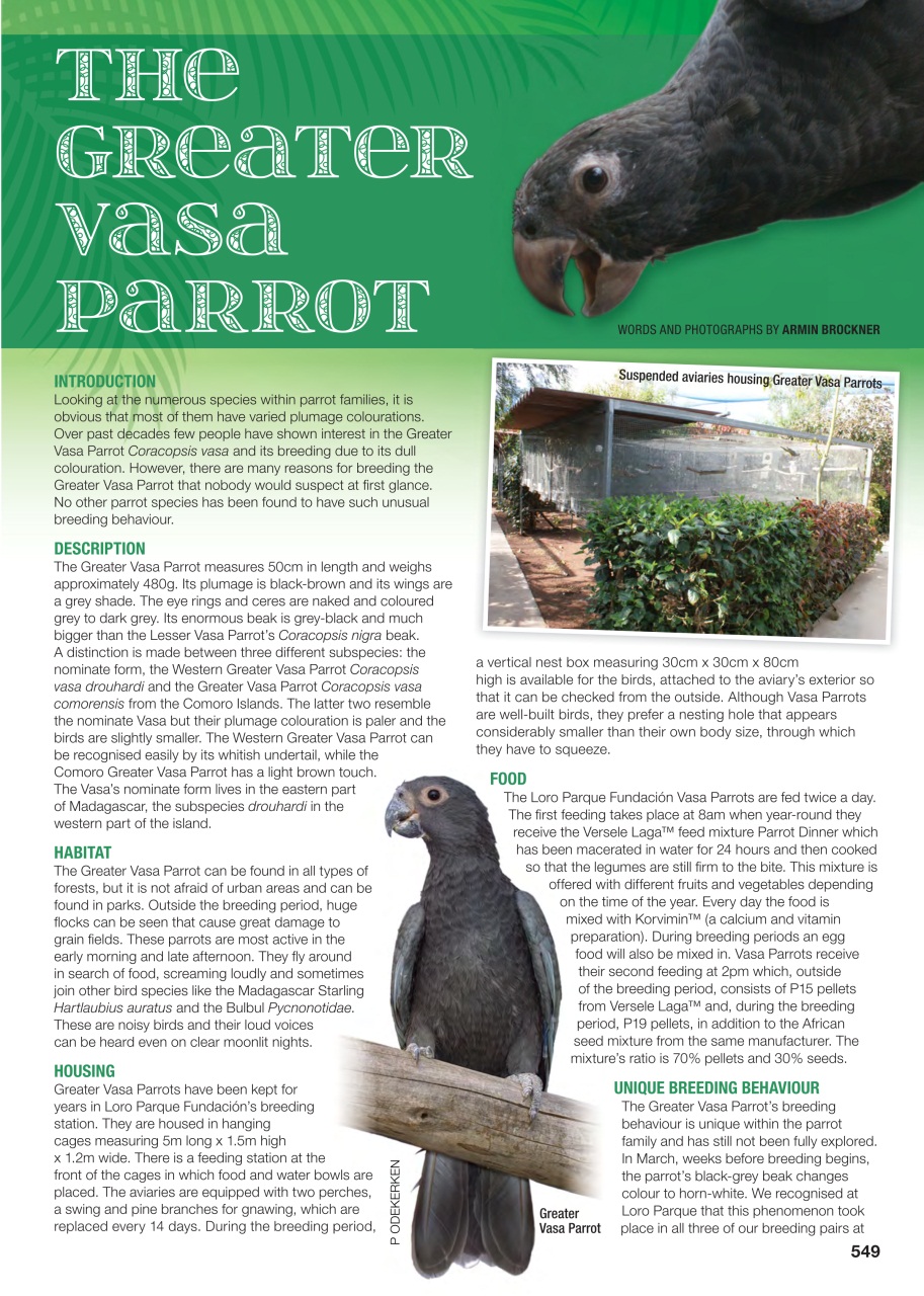 Australian Birdkeeper Magazine Preview Pages