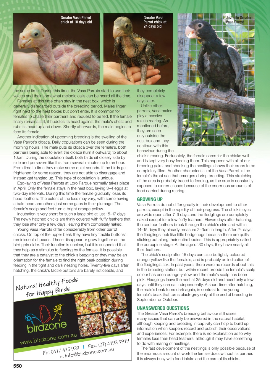 Australian Birdkeeper Magazine Preview Pages