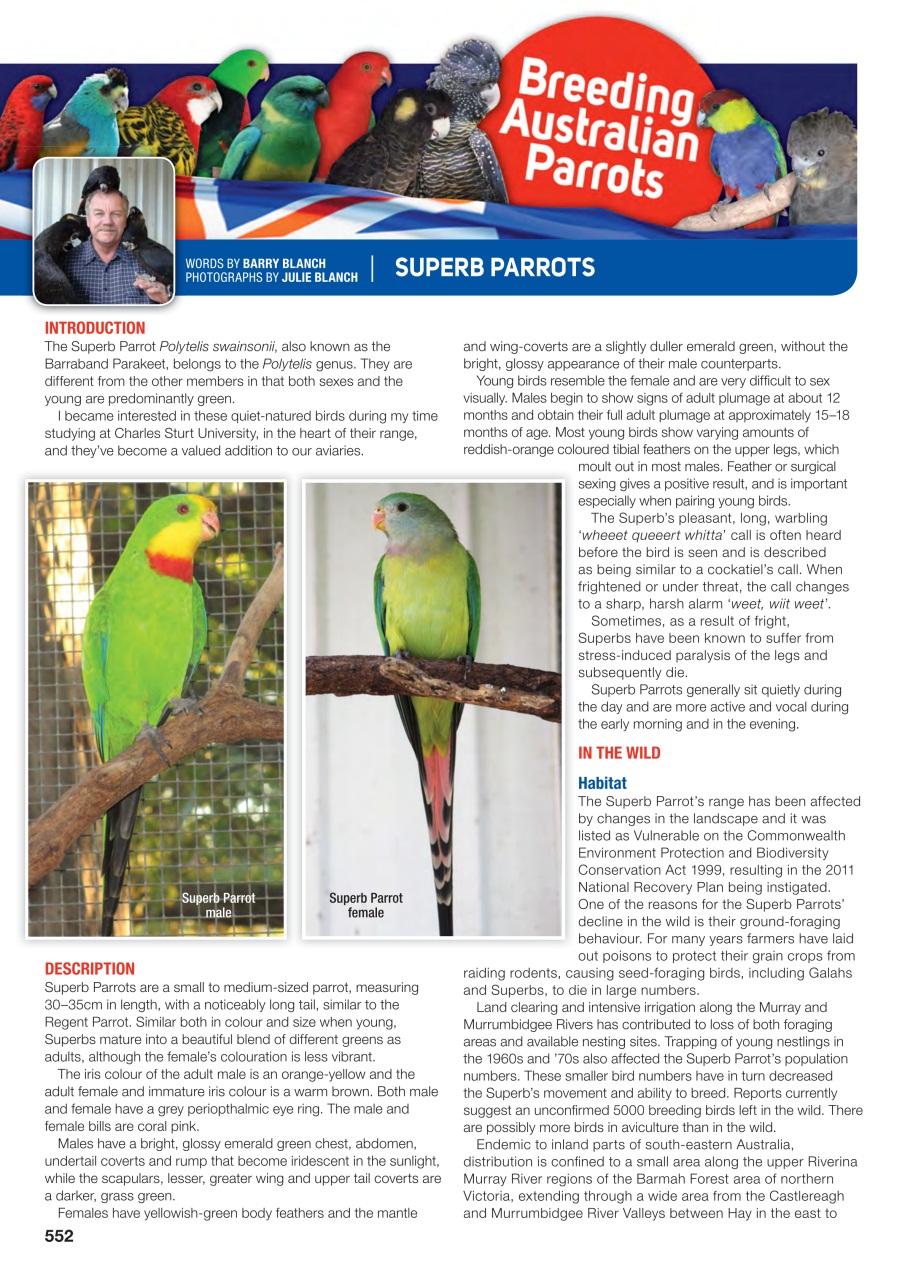 Australian Birdkeeper Magazine Preview Pages