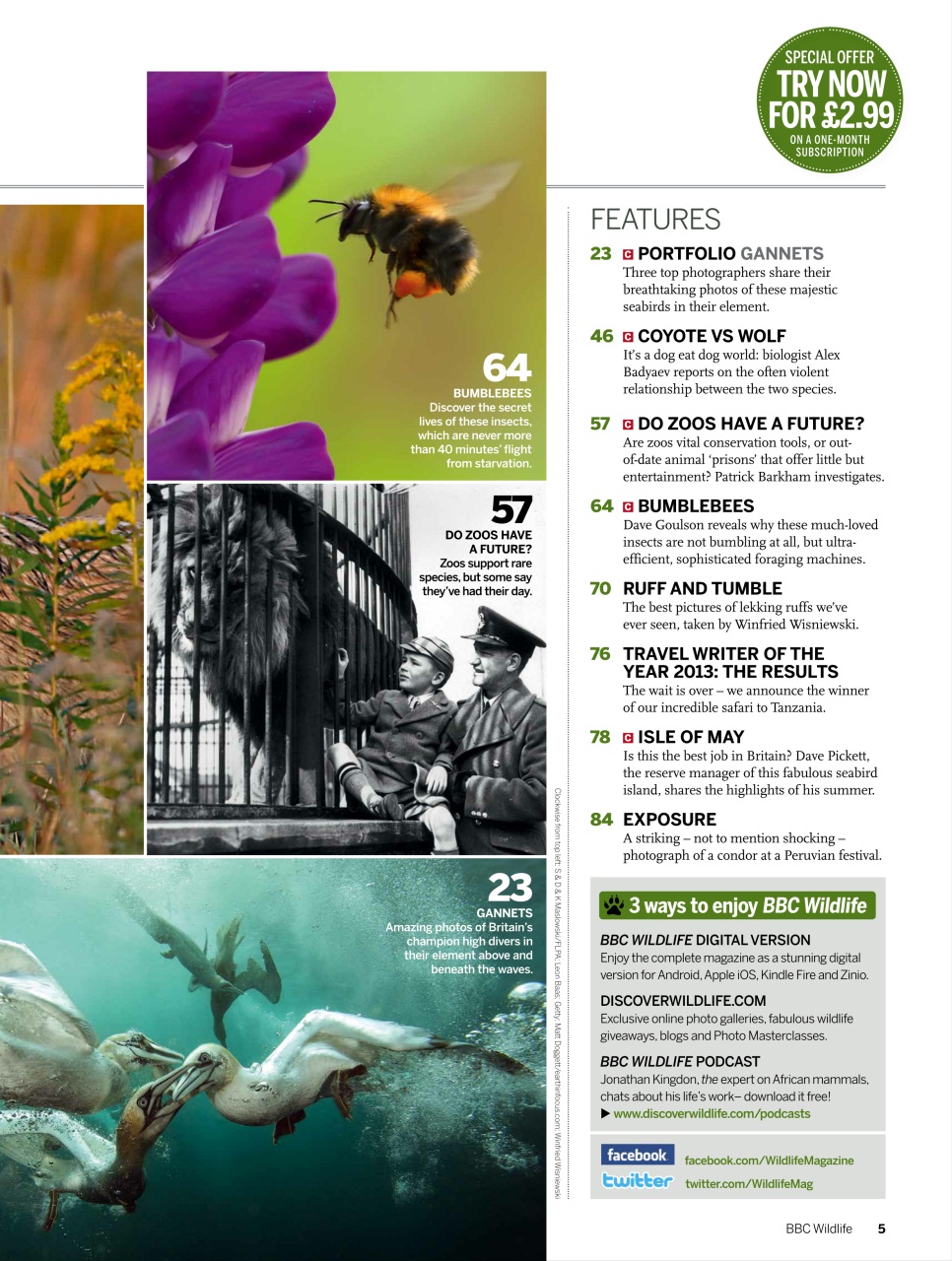 BBC Wildlife Magazine Preview Pages