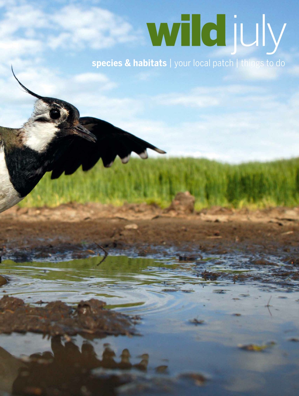 BBC Wildlife Magazine Preview Pages