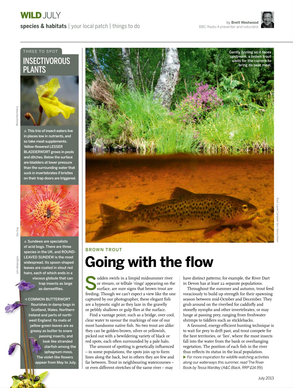 BBC Wildlife Magazine Preview Pages