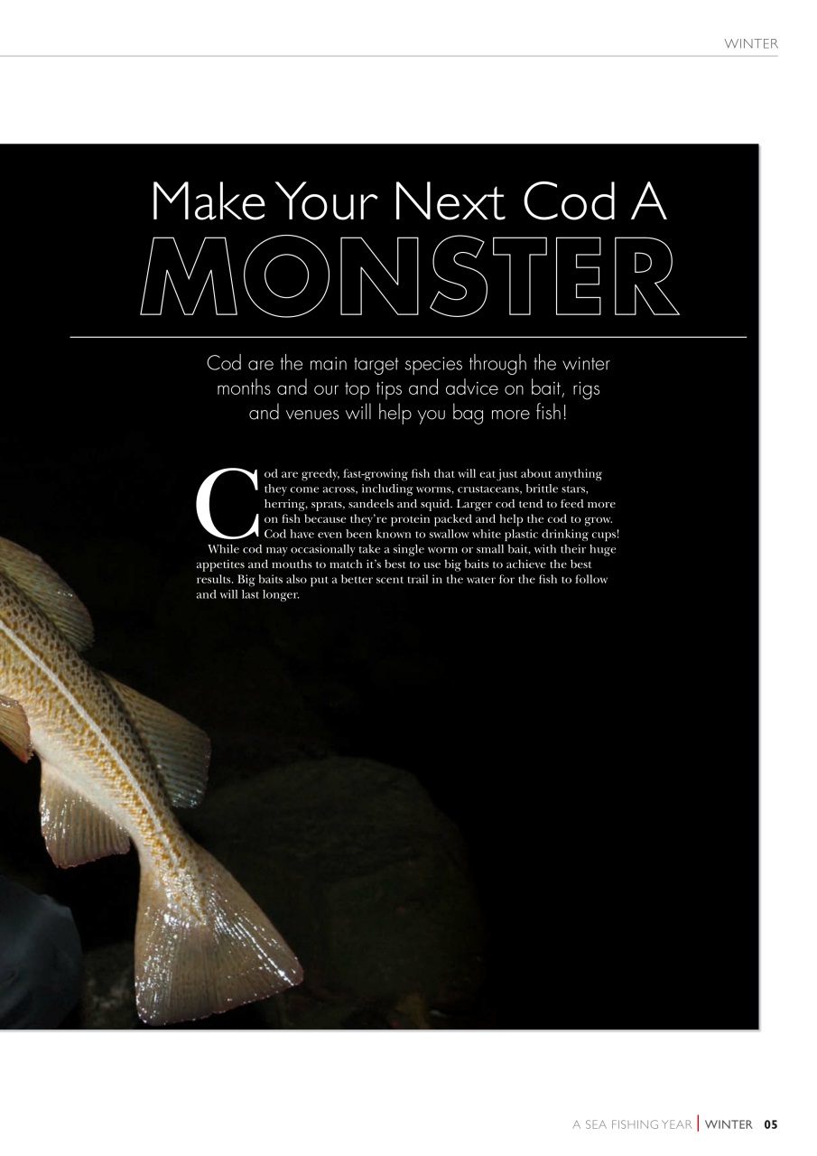 Fishing Reads Preview Pages