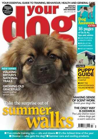 Your Dog issue Your Dog Magazine July 2013