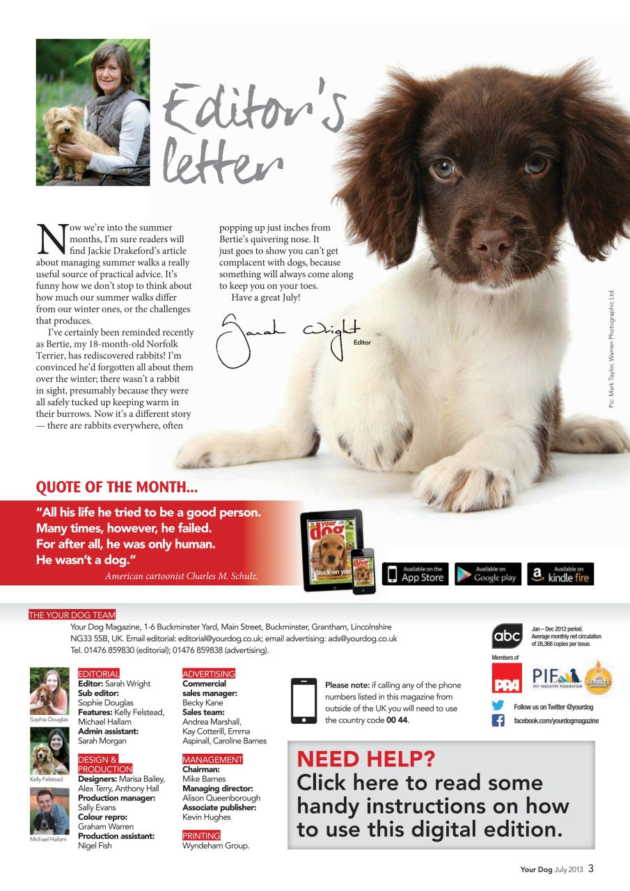 Your Dog Preview Pages