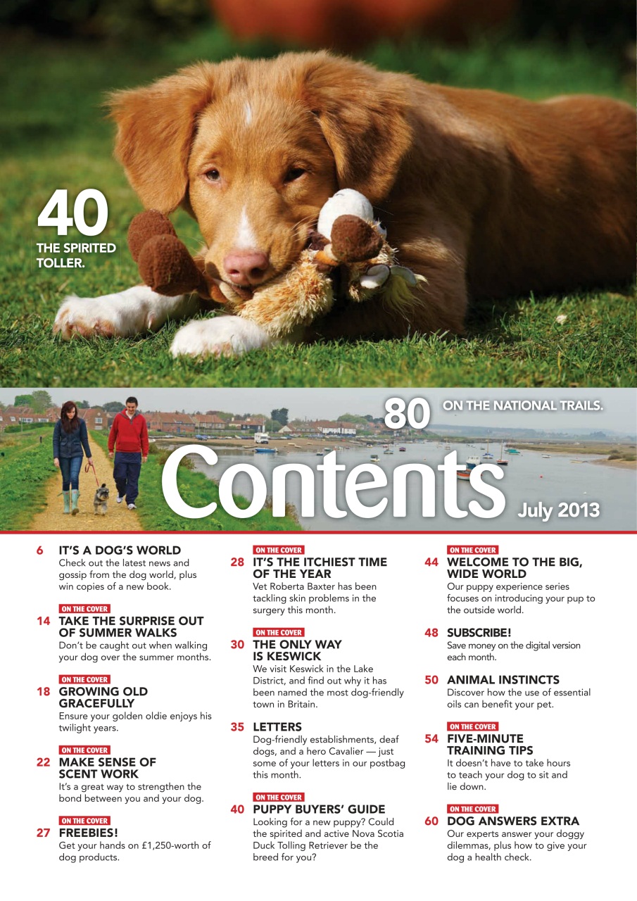 Your Dog Preview Pages