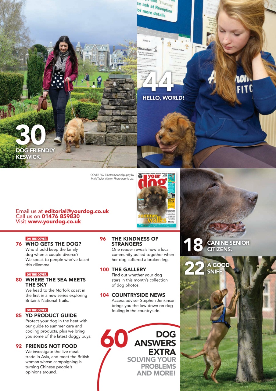 Your Dog Preview Pages