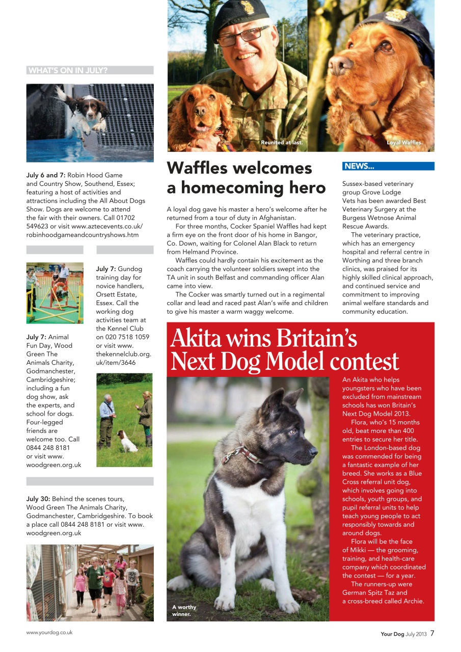 Your Dog Preview Pages