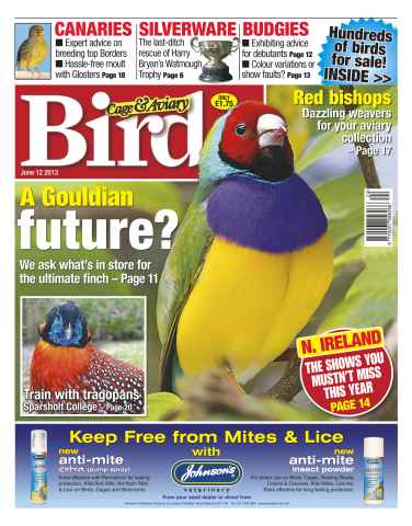 Cage & Aviary Birds issue Cage & Aviary 12 June 2013