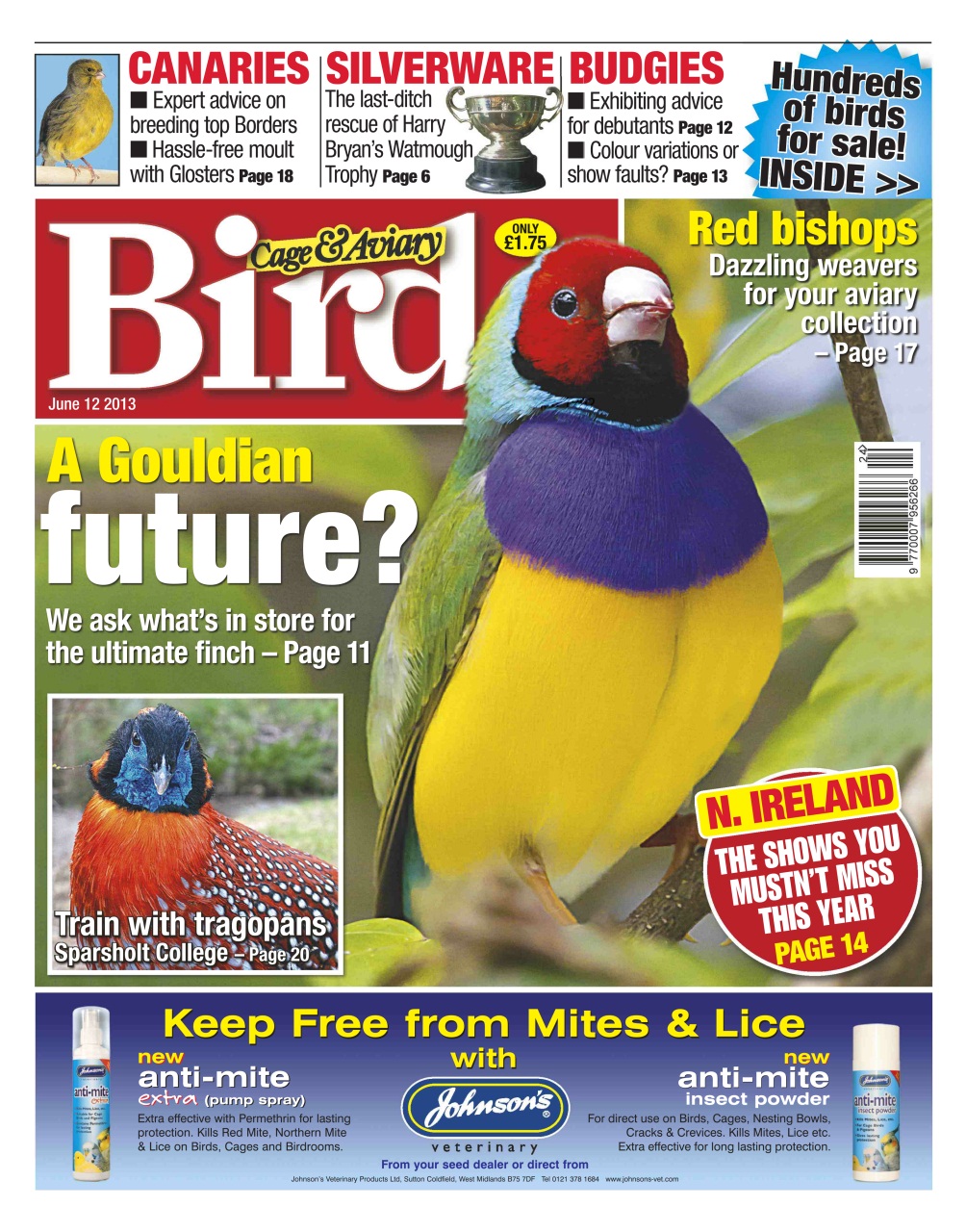 Cage & Aviary Birds Preview Pages