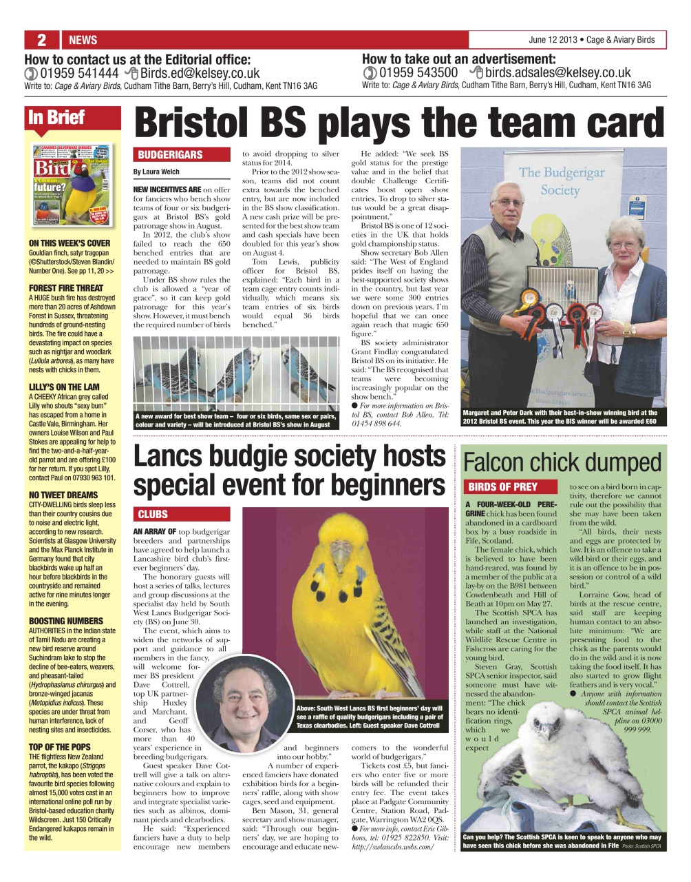 Cage & Aviary Birds Preview Pages