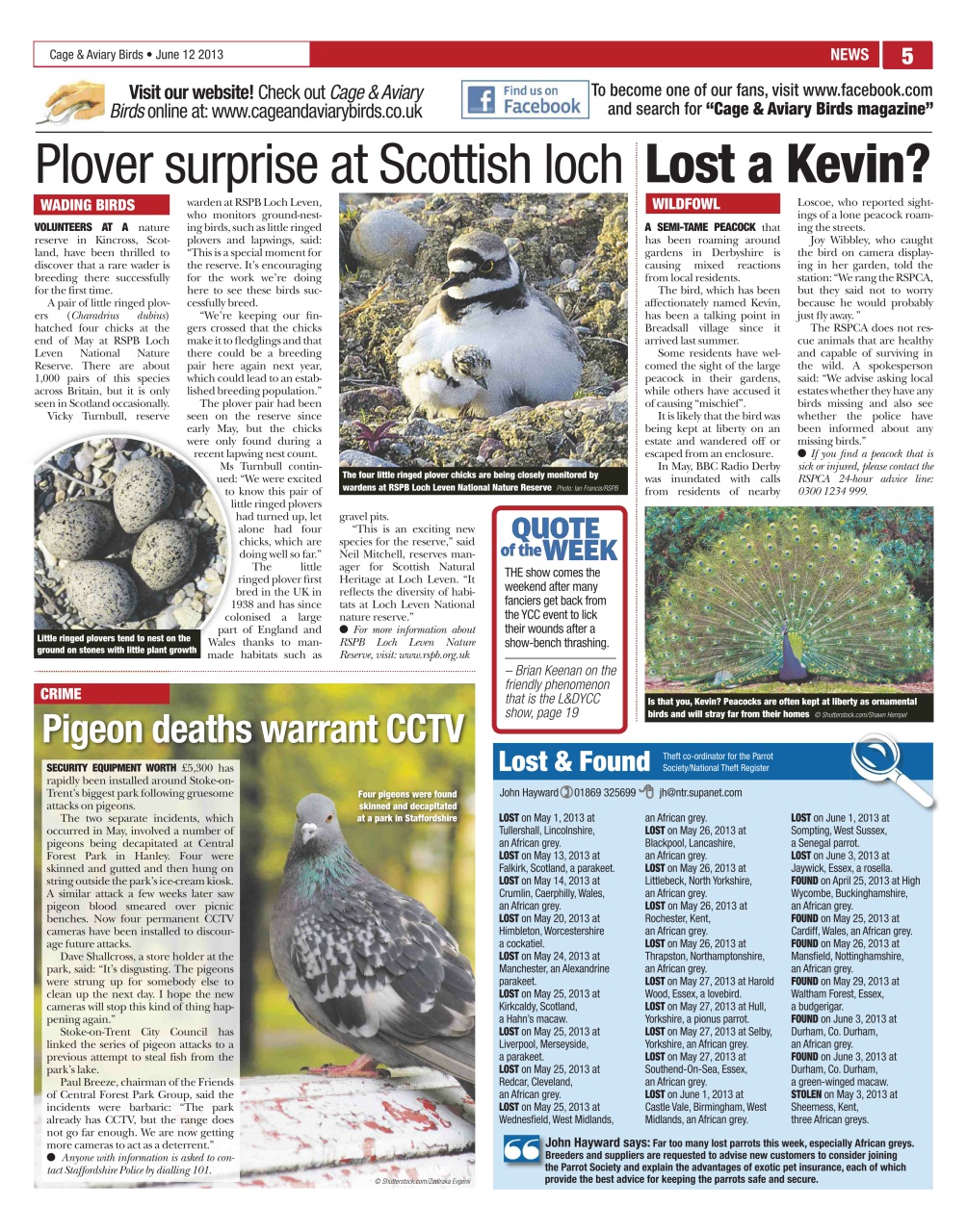 Cage & Aviary Birds Preview Pages