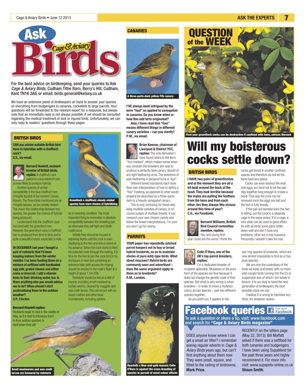 Cage & Aviary Birds Preview Pages