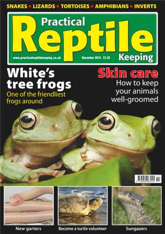 Practical Reptile Keeping issue No.18 White's Tree Frogs