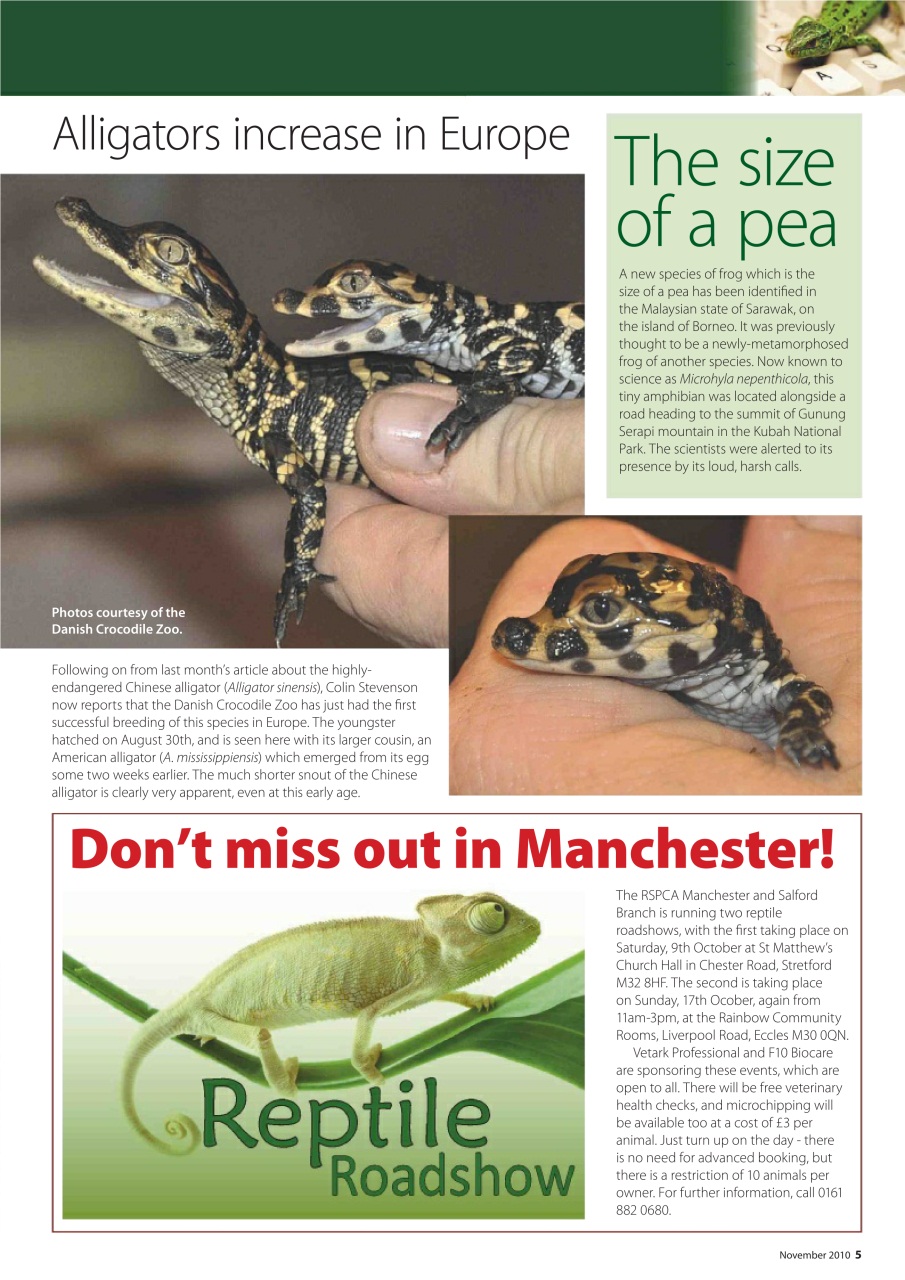 Practical Reptile Keeping Preview Pages
