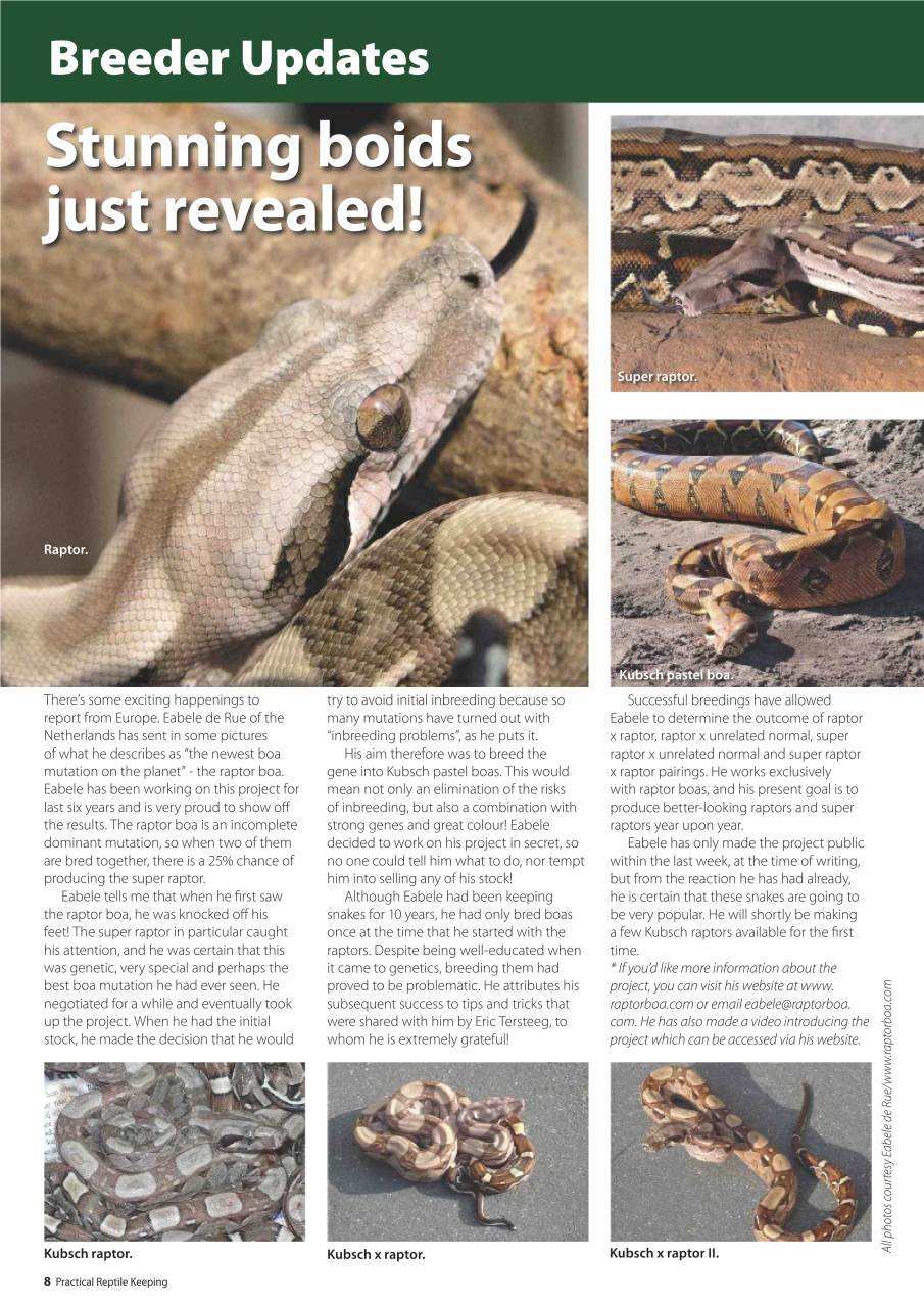 Practical Reptile Keeping Preview Pages