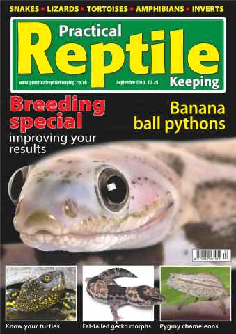 Practical Reptile Keeping issue No.16 Banana Ball Pythons
